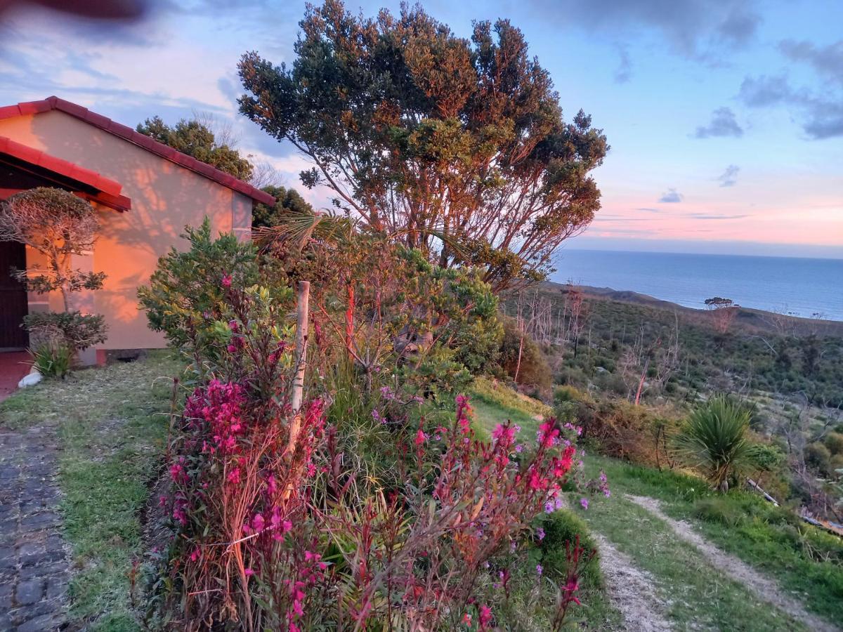 110 Bay View Brenton-on-Sea Exterior foto